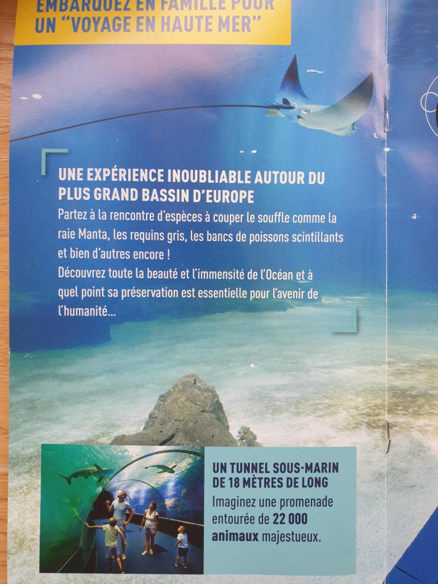 Appartamento Nid Du Detroit Boulogne-sur-Mer Esterno foto